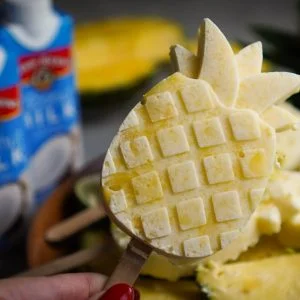 Promo-Website-Website landscape content (4) pina colada by beautiful voyager